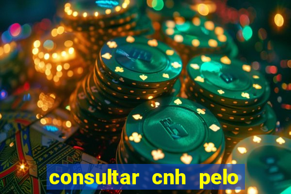 consultar cnh pelo cpf sp